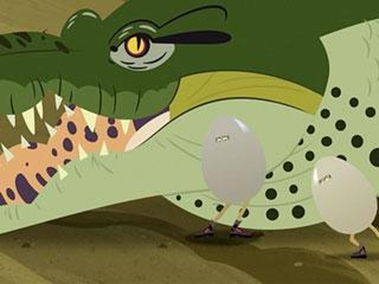 An African Wild Dog Den | Kratts Creatures | Science | Video | PBS